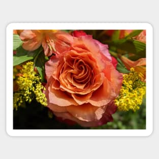 Rose in a Bouquet Photographic Image Sticker